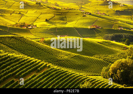 Vigneti delle Langhe panorama al tramonto, vicino Barolo, sito Unesco, Piemonte, Italia del nord Europa. Foto Stock