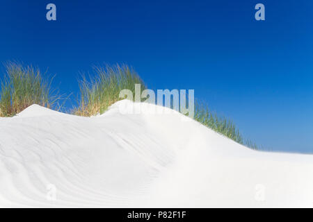 Dune cresciuto con Marram erba sotto un cielo blu Foto Stock