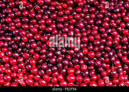 Fresh Red Cherry Berry frutta astratto modello colorato sfondo texture Foto Stock