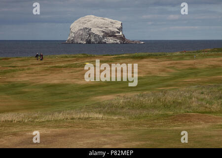 Vogeleiland de Bass Rock in Schotland, Bird Island il Bass Rock in Scozia Foto Stock
