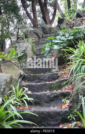 Fasi entro i Royal Botanical Gardens di Mlebourne, Australia Foto Stock