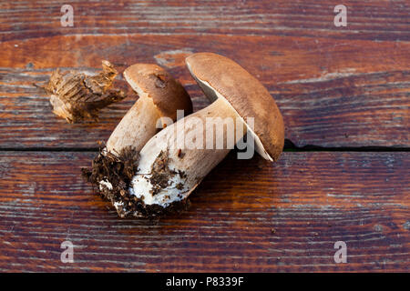Raccolto di recente il Boletus edulis su sfondo di legno. In autunno i funghi porcini. La cucina deliziosa fungo organico. Il cibo gourmet Foto Stock