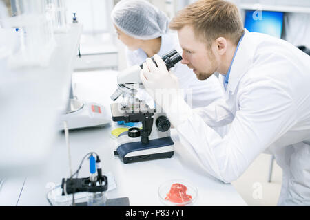 Team di scienziati in laboratorio Foto Stock