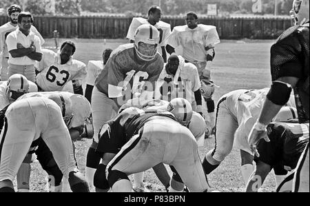 Santa Rosa, California, Stati Uniti d'America. 10 Ago, 1982. Oakland Raiders training camp Agosto 10, 1982 a El Rancho Tropicana, Santa Rosa, California. I raider di Oakland quarterback Jim Plunkett: credito al Golub/ZUMA filo/Alamy Live News Foto Stock