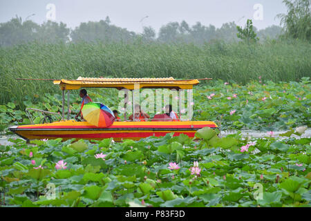 Zhengzhou, la Cina della Provincia di Henan. 9 Luglio, 2018. I turisti visualizza i fiori di loto in barca sul Lago Longhu nella contea di Huaiyang, centrale cinese della Provincia di Henan, Luglio 9, 2018. Credito: Feng Dapeng/Xinhua/Alamy Live News Foto Stock