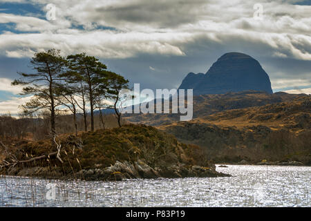 Suilven da Loch Druim Suardalain, Glen Canisp foresta, vicino a Lochinver, Coigach, Sutherland, regione delle Highlands, Scotland, Regno Unito Foto Stock
