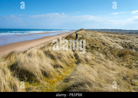La spiaggia e le dune di sabbia a Coul Links, vicino Embo, Sutherland, Scotland, Regno Unito Foto Stock