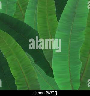 Bellissimo albero naturale Palm Tree foglia sfondo Silhouette illustrazione vettoriale Illustrazione Vettoriale