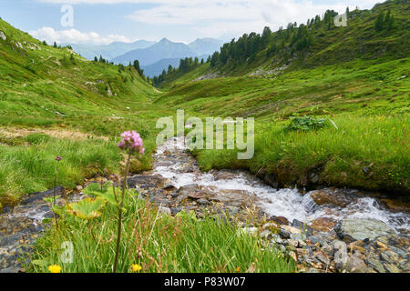 Ruscello di montagna come una fonte di acqua fresca di montagna delle Alpi Foto Stock