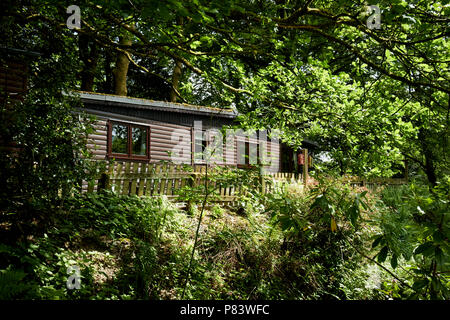 Private log cabin alloggi turistici impostato nel bosco appartato nel Lake District Inghilterra Regno Unito Foto Stock