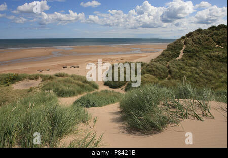 Alnmouth in Inghilterra Foto Stock