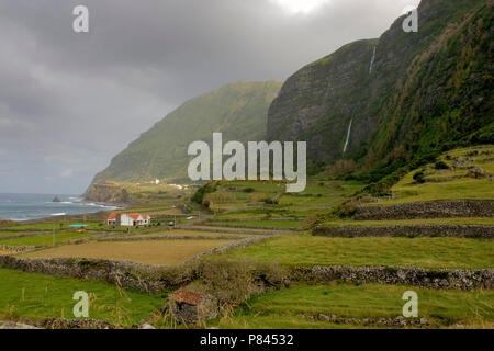 Landschap Azoren; paesaggio Azzorre Foto Stock