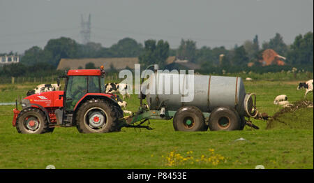 Boer incontrato gierkar Nederland, agricoltore concimazione Paesi Bassi Foto Stock