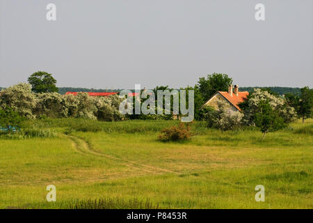 In Boerderij Hortobagy; Agriturismo a Hortobagy Foto Stock