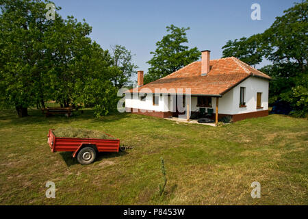 In Boerderij Hortobagy; Agriturismo a Hortobagy Foto Stock