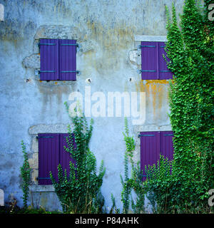 Vigneti che crescono su un edificio con persiane. Francia Foto Stock