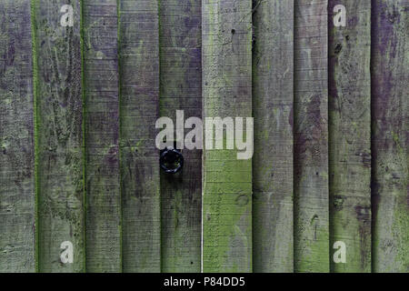 Alta staccionata in legno con una porta ad un giardino segreto Foto Stock