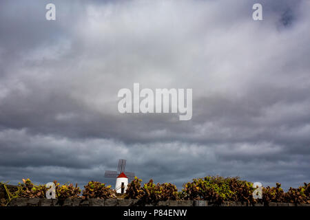 Il mulino a vento di minimalista con espressive moody cielo nuvoloso, Lanzarote, Isole Canarie, Spagna con la parete con cactus e cespugli di piccole dimensioni nella parte anteriore Foto Stock