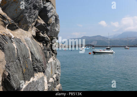 Blaenau Ffestiniog Harbour e Mawddach Estuary, Barmouth, il Galles del Nord Foto Stock