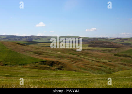 Glooiend landschap, colline, Petite Kabylie, Algerije, Algeria Foto Stock