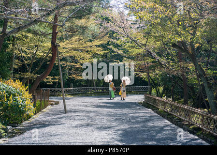 Due irriconoscibili le donne godono di primavera a Kyoto, Giappone Foto Stock