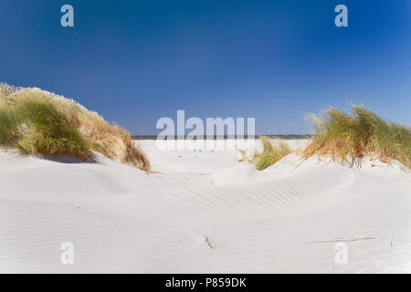 Vista sulla spiaggia e sul mare tra le dune cresciuto con Marram erba sotto un cielo blu Foto Stock