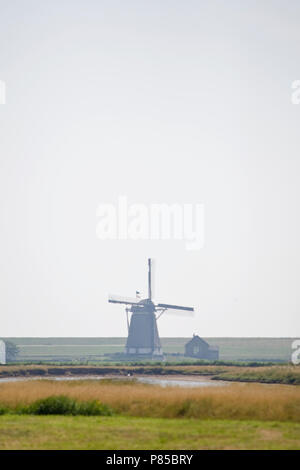 Molen Het Noorden op waddeneiland Texel Nederland, Mill Het Noorden su Texel Paesi Bassi Foto Stock