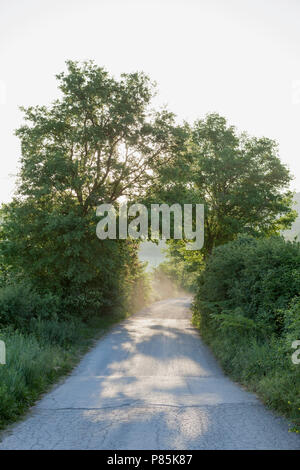 Toscana in strada la mattina presto. Foto Stock