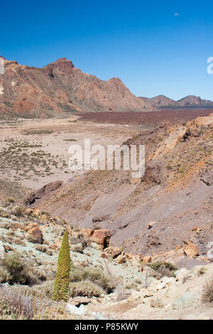 Landschap El Teide Tenerife; paesaggio El Teide Tenerife Foto Stock