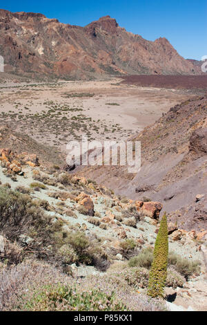 Landschap El Teide Tenerife; paesaggio El Teide Tenerife Foto Stock