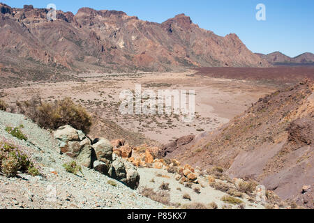 Landschap El Teide Tenerife; paesaggio El Teide Tenerife Foto Stock