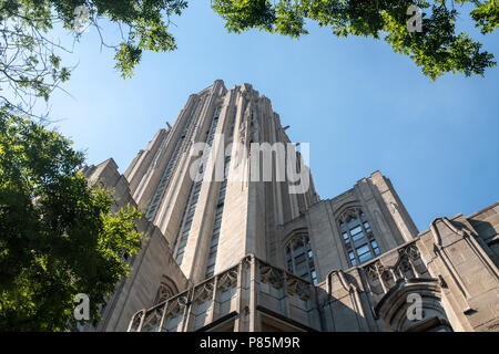 Cattedrale di apprendimento la costruzione presso la University of Pittsburgh Foto Stock