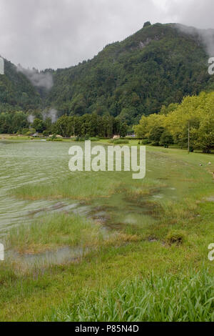 Landschap Azoren; paesaggio Azzorre Foto Stock