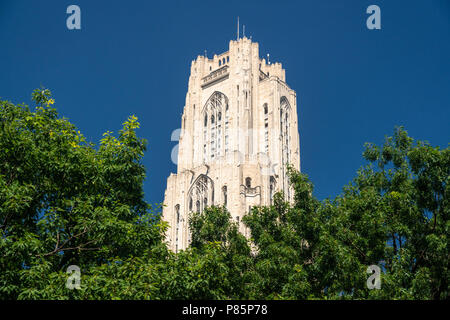 Cattedrale di apprendimento la costruzione presso la University of Pittsburgh Foto Stock