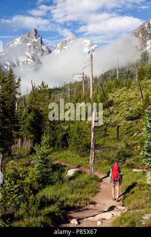 WY02767-00...WYOMING - escursionista sulla cascata Canyon Trail nel Parco Nazionale di Grand Teton. Foto Stock