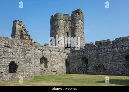 Il Galles, Carmarthenshire, Kidwelly Castle Foto Stock