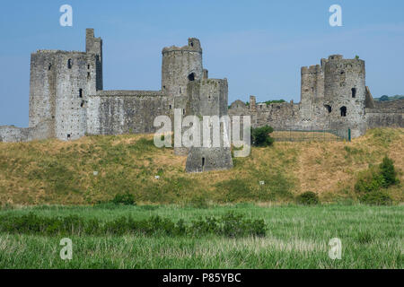 Il Galles, Carmarthenshire, Kidwelly Castle Foto Stock