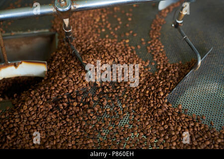 Sopra Visualizza Ingrandimento di marrone cremoso i chicchi di caffè La tostatura in drum machine di artigiani locali roastery, copia di sfondo spazio Foto Stock