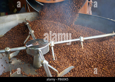 Vista sopra lo sfondo di colore marrone cremoso i chicchi di caffè fuoriuscita per la tostatura in drum machine di artigiani locali roastery, spazio di copia Foto Stock