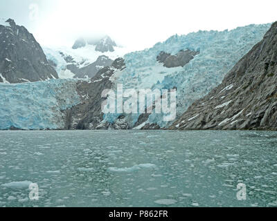 Kenai Fjords scenario Alaska Foto Stock