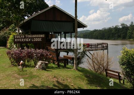 Kinabatangrivier nel Borneo; Fiume Kinabatang nell isola del Borneo Foto Stock