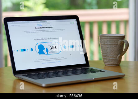 Il DNA dei consumatori i risultati dei test (23andMe) relazione rivela il numero di varianti genetiche (306) la persona condivide con antenati di Neanderthal Foto Stock