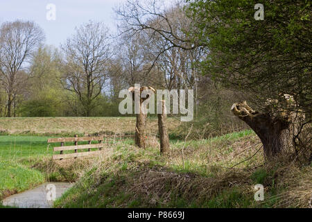 Uiterwaarden Vecht en Zwarte acqua Foto Stock