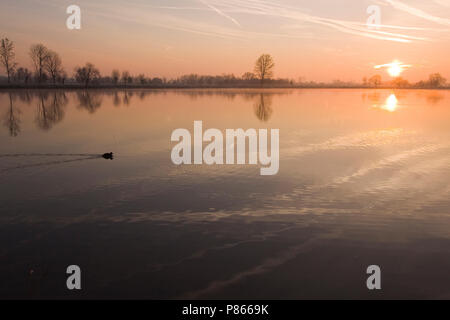 Uiterwaarden Vecht en Zwarte acqua Foto Stock