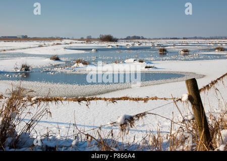 Uiterwaarden Vecht en Zwarte acqua in de winter Foto Stock