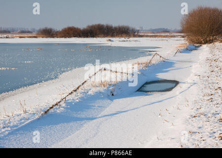 Uiterwaarden Vecht en Zwarte acqua in de winter Foto Stock