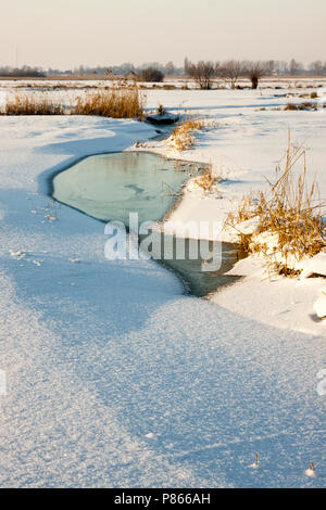 Uiterwaarden Vecht en Zwarte acqua in de winter Foto Stock