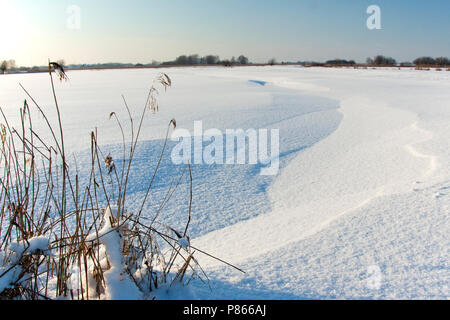 Uiterwaarden Vecht en Zwarte acqua in de winter Foto Stock