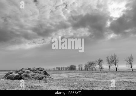 Gli inverni landschap, paesaggio invernale Foto Stock