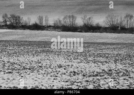 Gli inverni landschap, paesaggio invernale Foto Stock